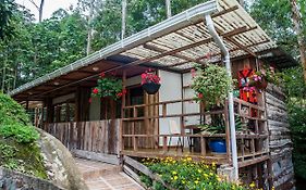 Hotel Selva Verde